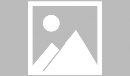 娱乐圈吃瓜女王小说,吃瓜女王的风云录